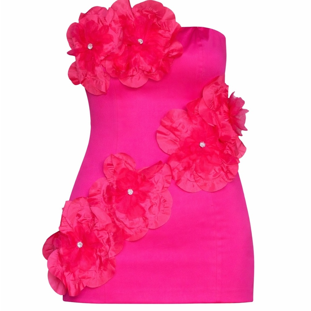 Fashion Nova Luxe Ari Hot Pink 3D Floral Rosette Rhinestone Mini Dress Large